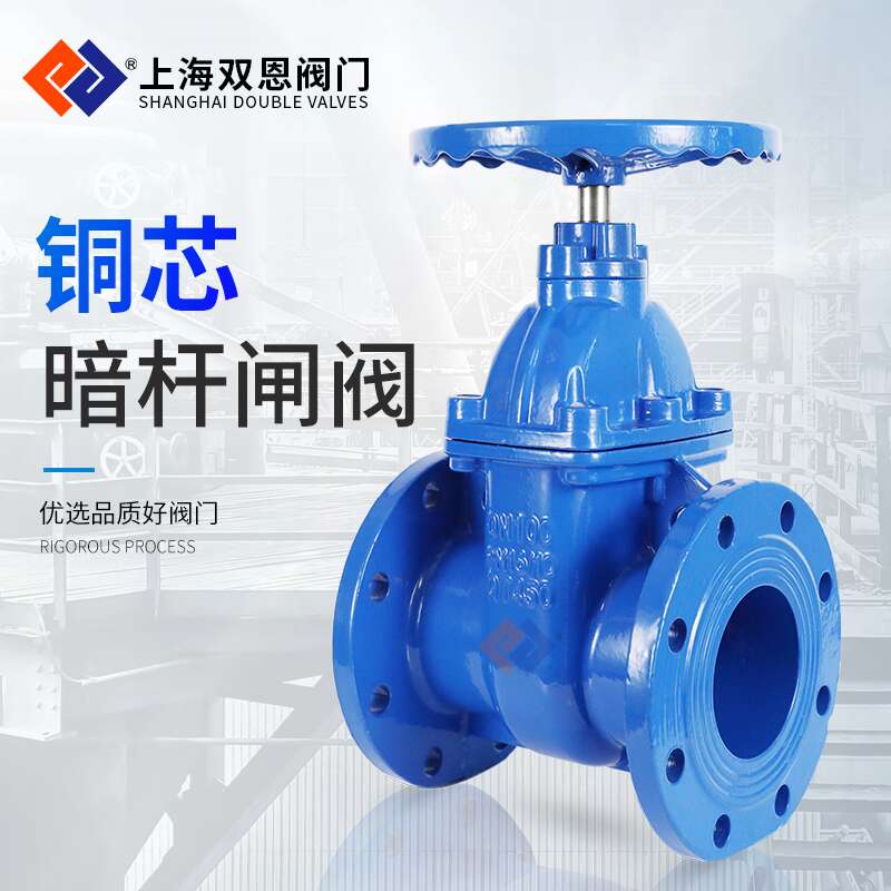 防護(hù)閘閥Z45T-16Q